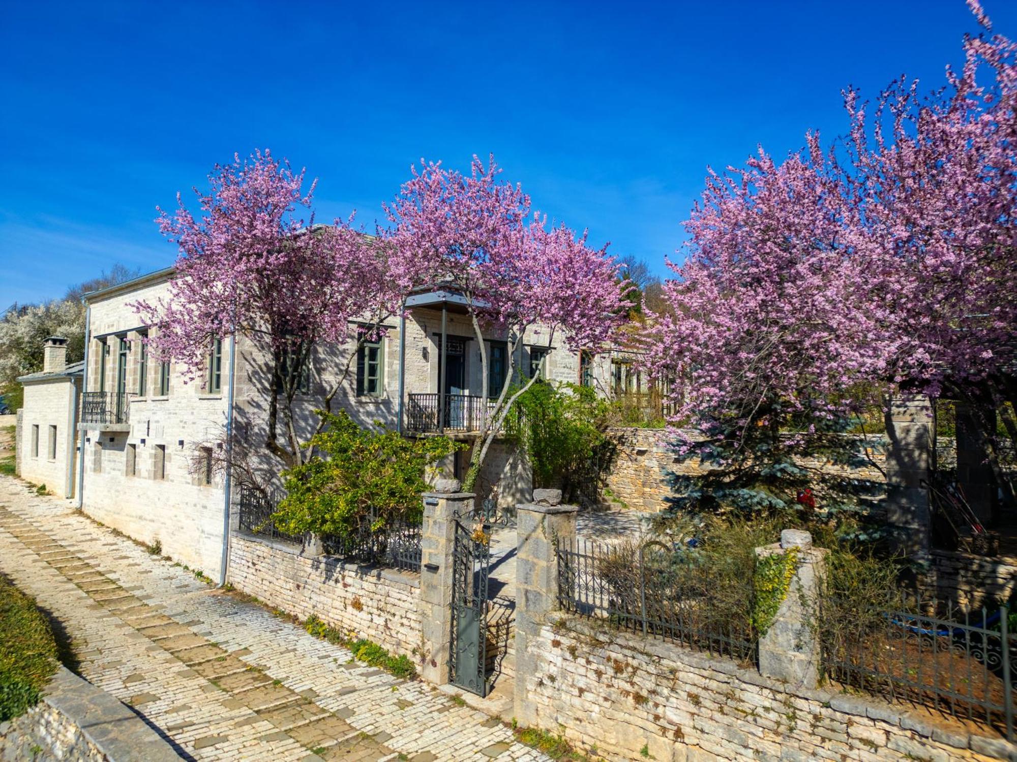 Готель Katikia Zagori Віца Екстер'єр фото